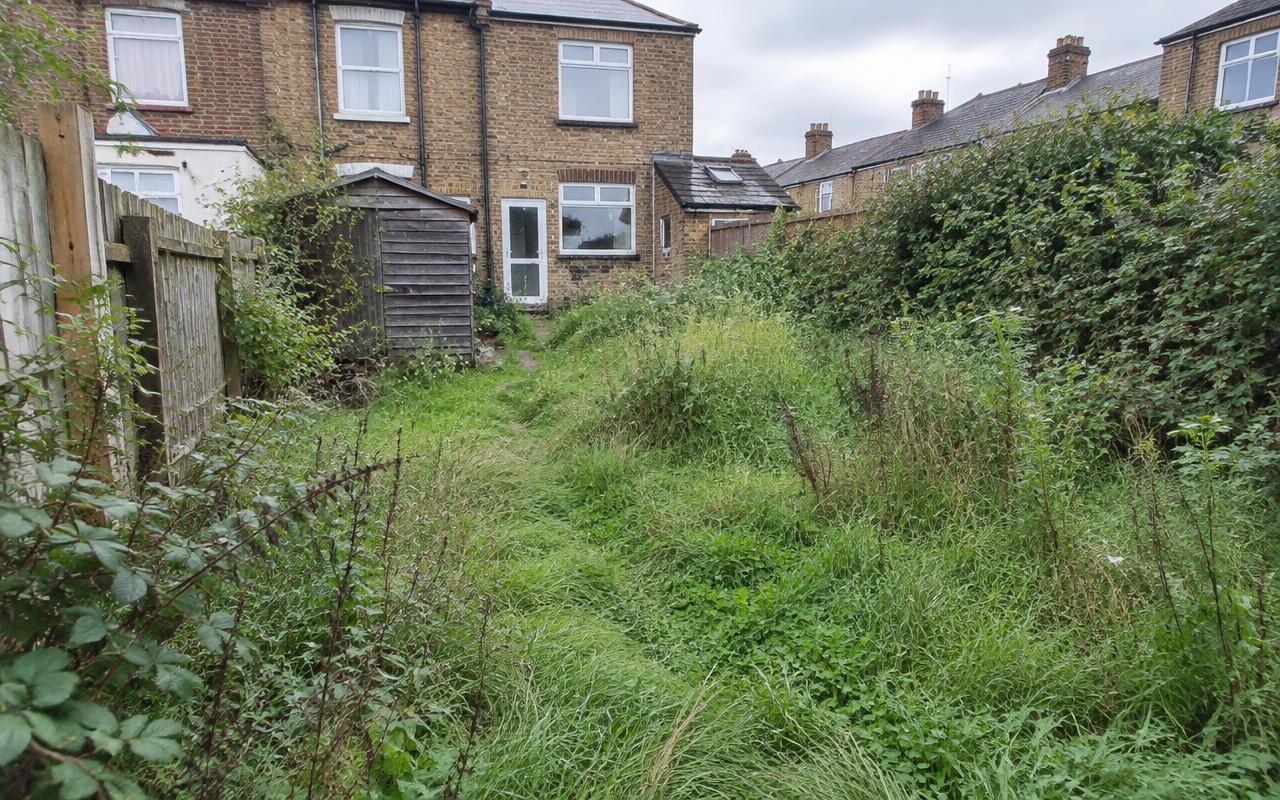 Before: overgrown garden